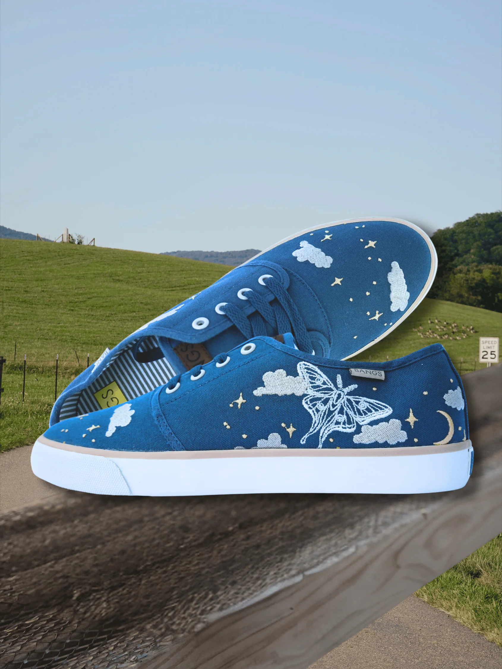 Enchanted Skylight Low Top - Image 9