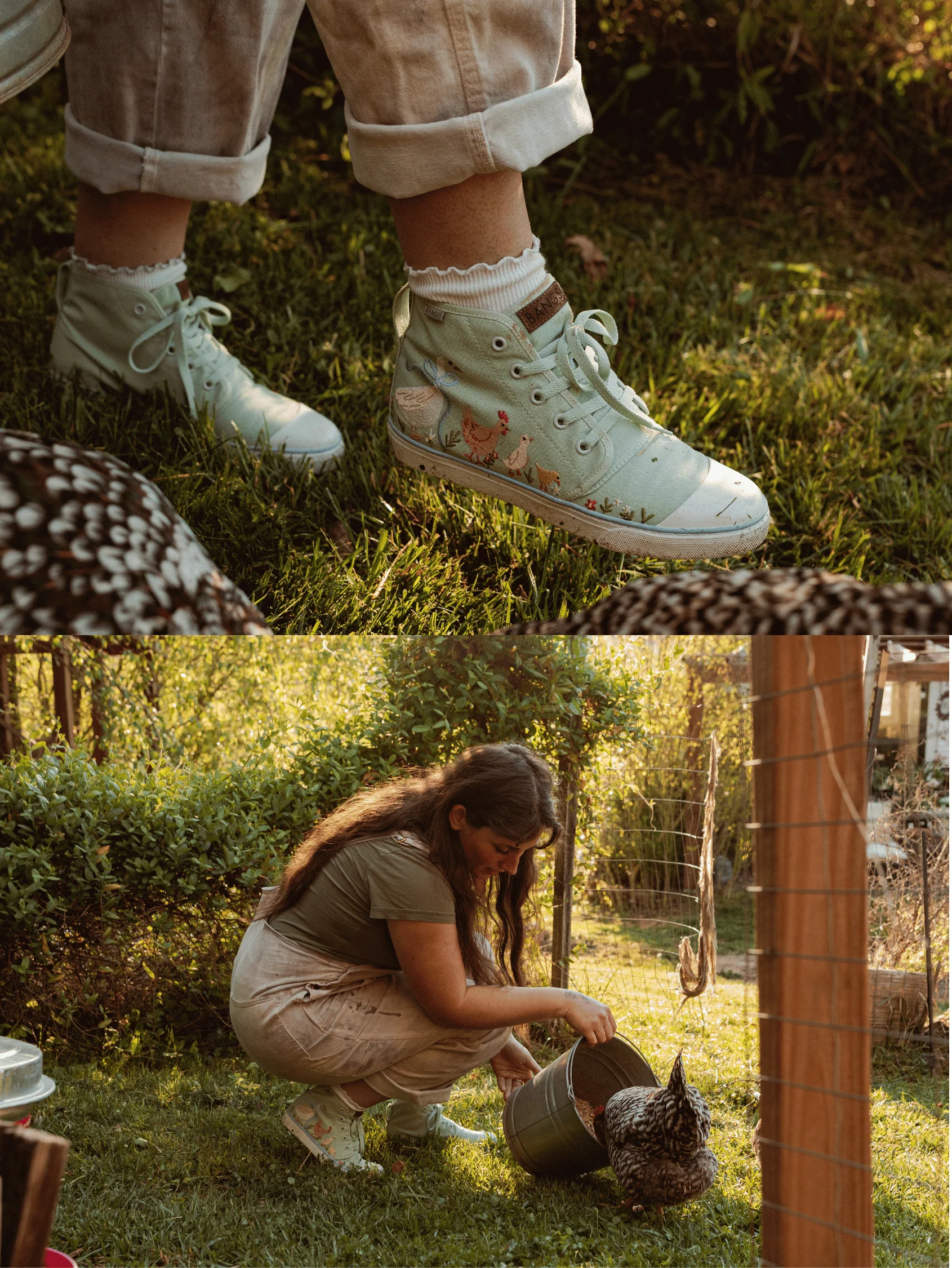 Feathered Friends High Top - Image 2