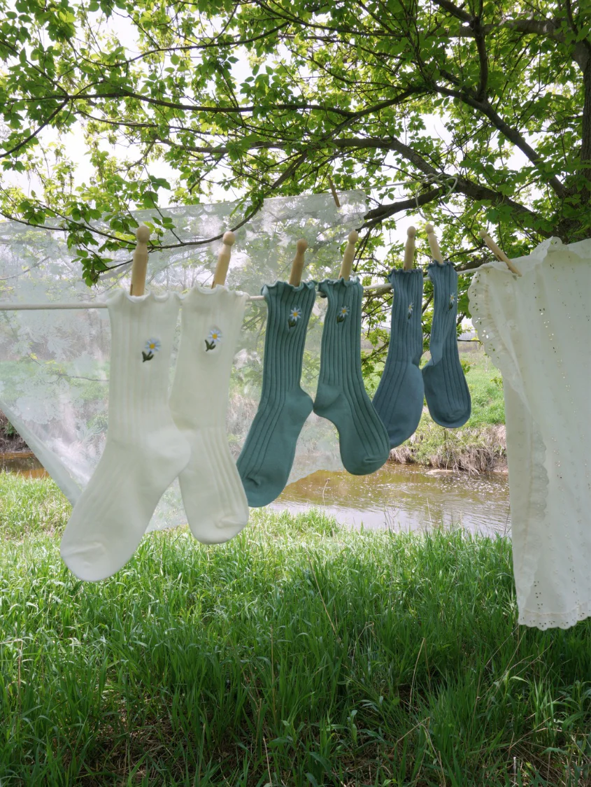 Daisy Delight Sock Bundle - Image 3