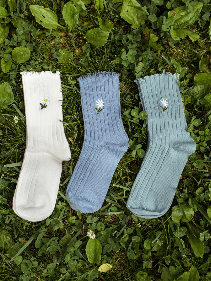 Daisy Delight Sock Bundle - Image 5