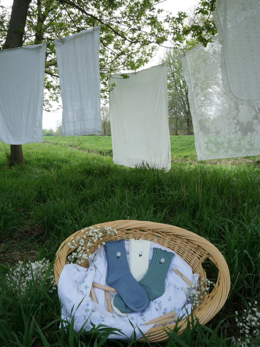 Daisy Delight Sock Bundle - Image 6