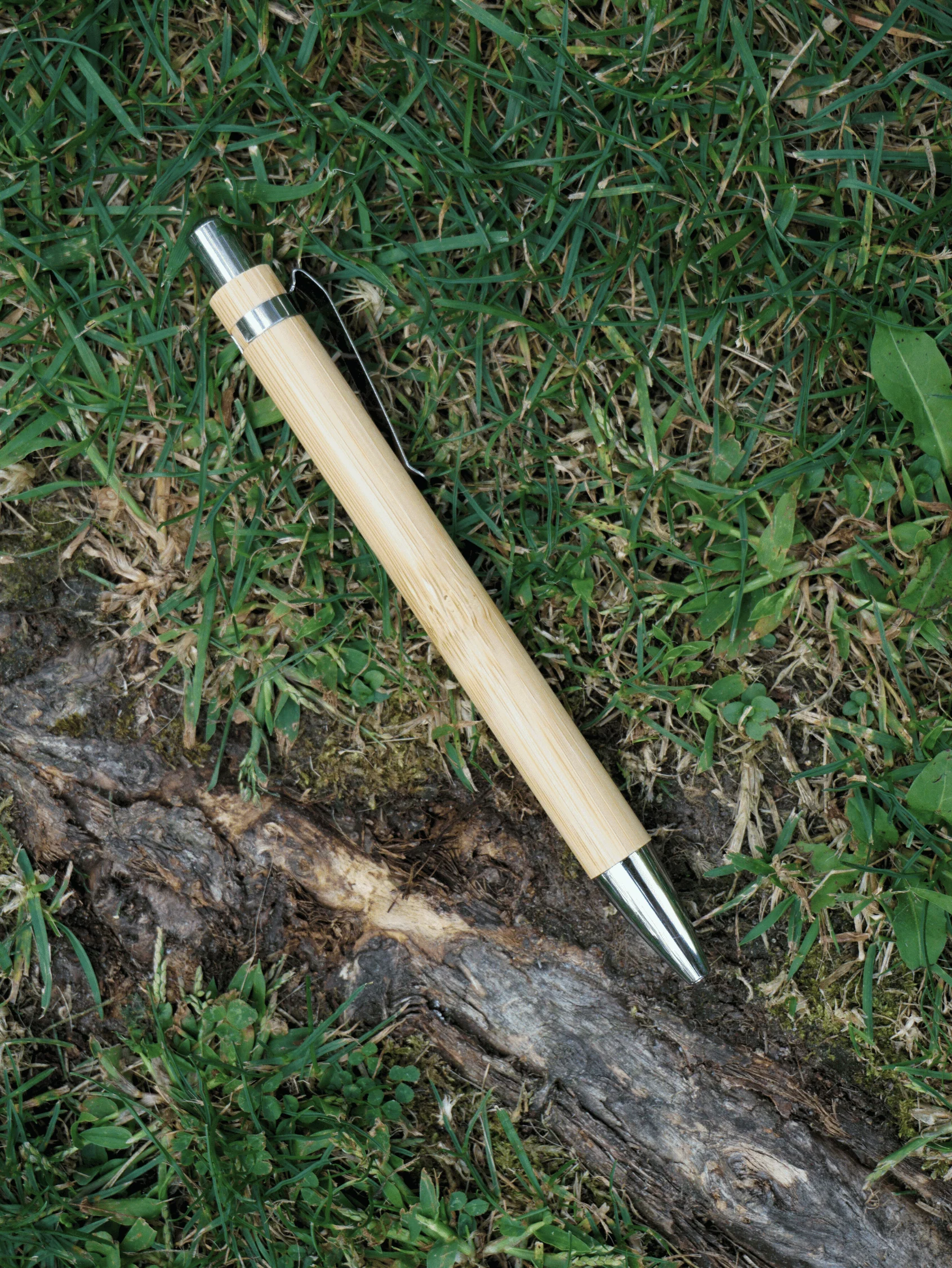 Forager Bundle - Image 4