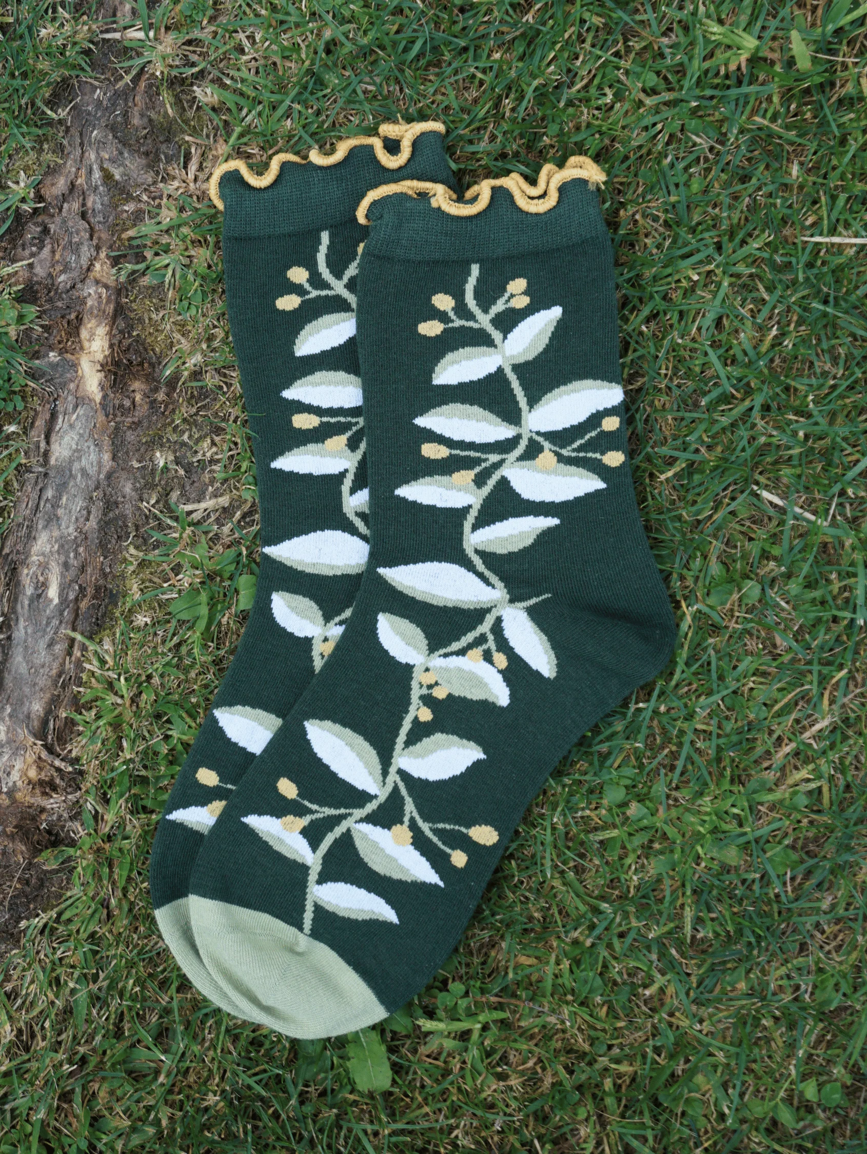 Forager Bundle - Image 5
